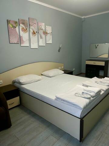 Двухместный номер с 1 кроватью и балконом в Гостинице Кавказ